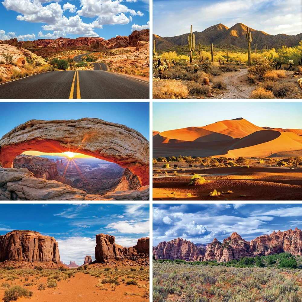 

Photography Background Desert Landscape Shrubbery Gobi Cactus Reptile Rock Forest Mountains Hiking Party Decor Backdrop
