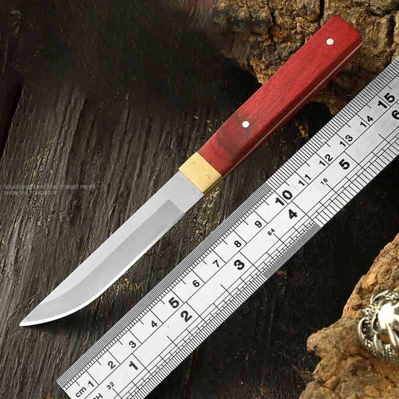 Red Wood Handle Fruit Knife for Household Outdoor Camping Meat Cutting Small Straight Knife Portable Mini Knife BBQ Tool