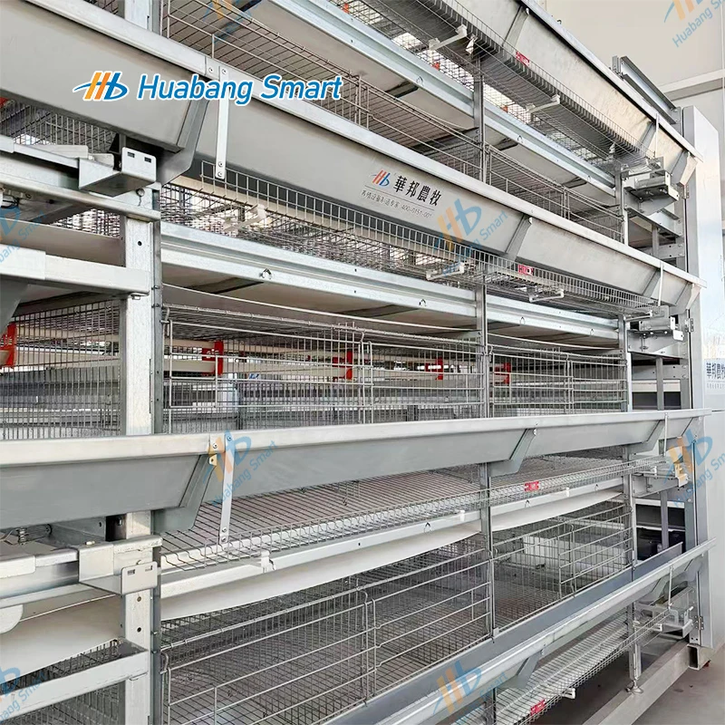 

Hot Sale High Quality Chicken Automatic Poultry Farm Equipment H Type Layer Cage