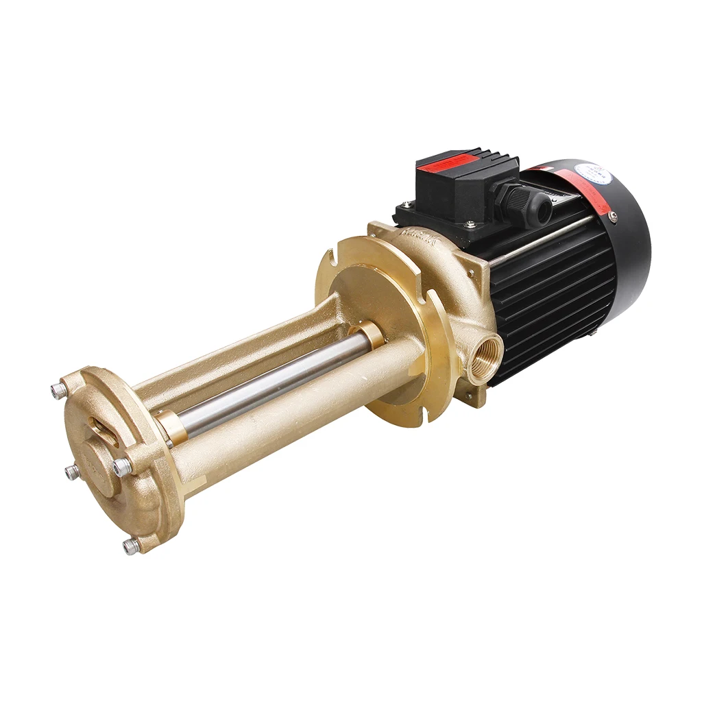 Long distance agricultural water supply fountain electric  pump