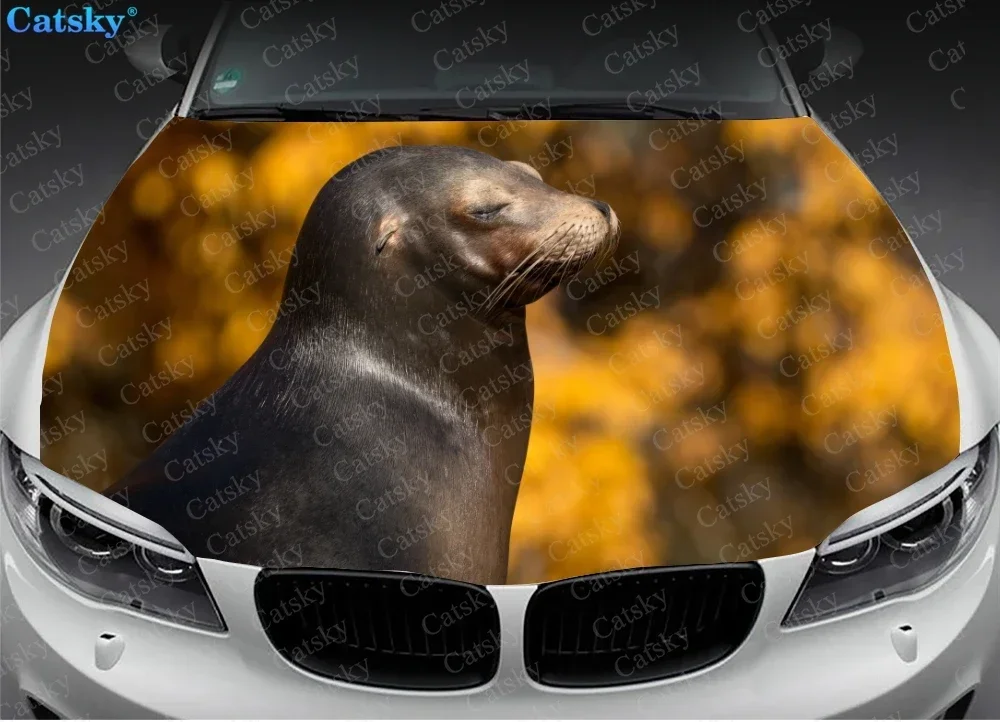 Animal -  Sea Lion Funny Car Hood Vinyl Stickers Wrap Vinyl Film Engine Cover Decals Sticker on Car Auto Accessories