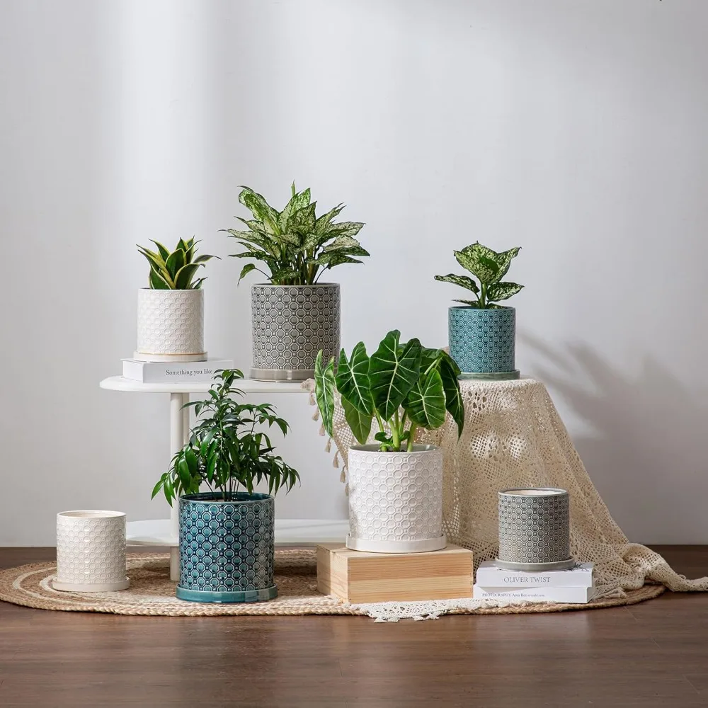 زارع سيراميك مقاس 8 بوصة مع فتحة تصريف وصحون للنباتات الداخلية والخارجية - وعاء زهور أبيض حديث