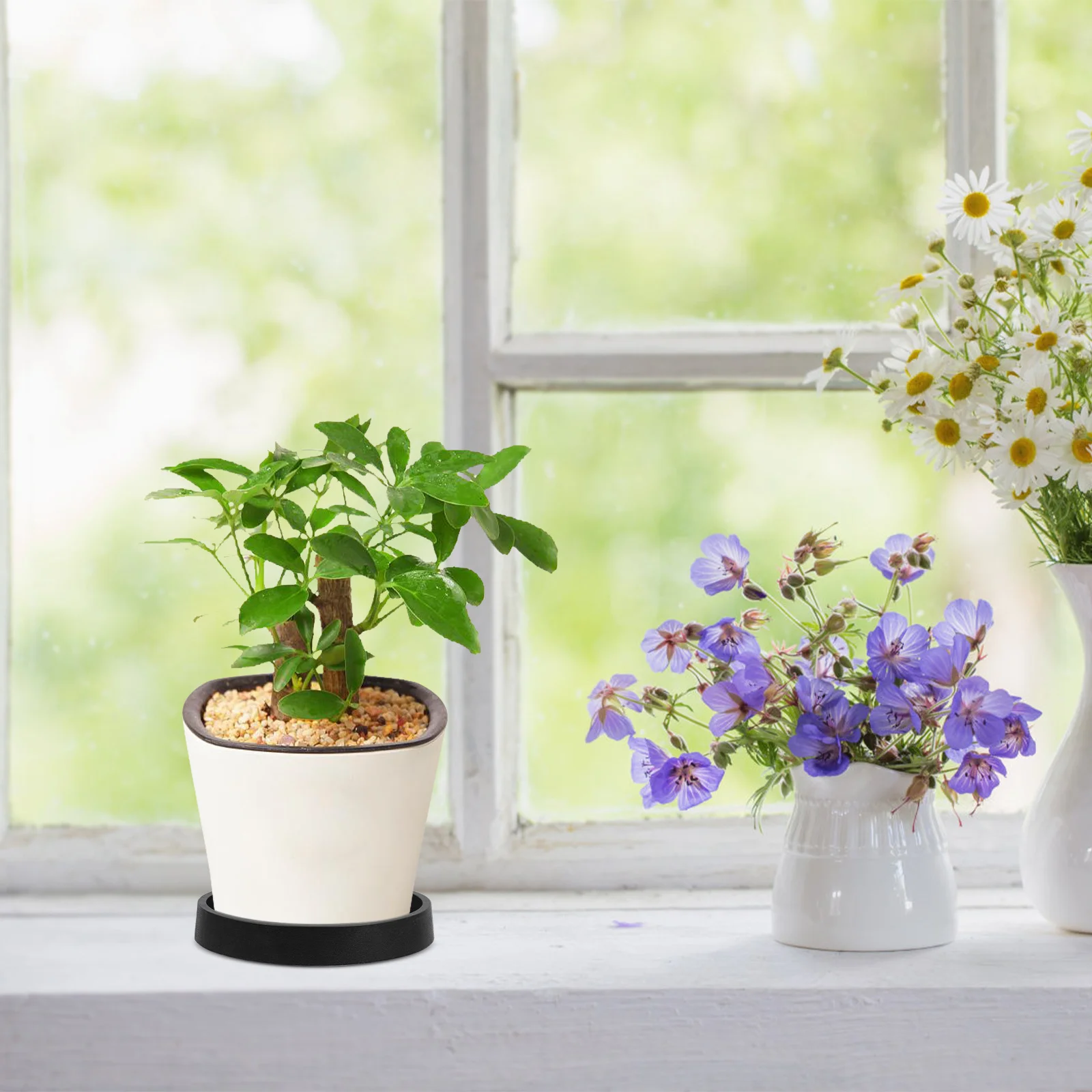 

5pcs Plant Saucer Tray Round Drainage For Potted Plants Water Catcher Plate Garden Decor Indoor Outdoor Planter Accessories