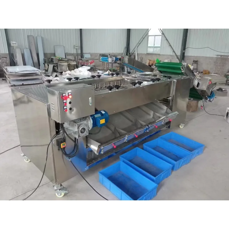 Commercial Automatic Fruit Grading Sorting Machine Stainless Steel Multi Size Fruit Sorting Equipment With Control Cabinet
