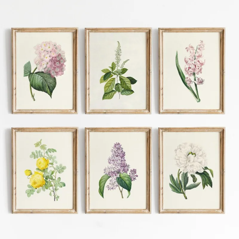 Vintage Color Botanical Hydrangea Rose Lavender Floral Posters and Prints Canvas Printing Wall Art Picture for Living Room De