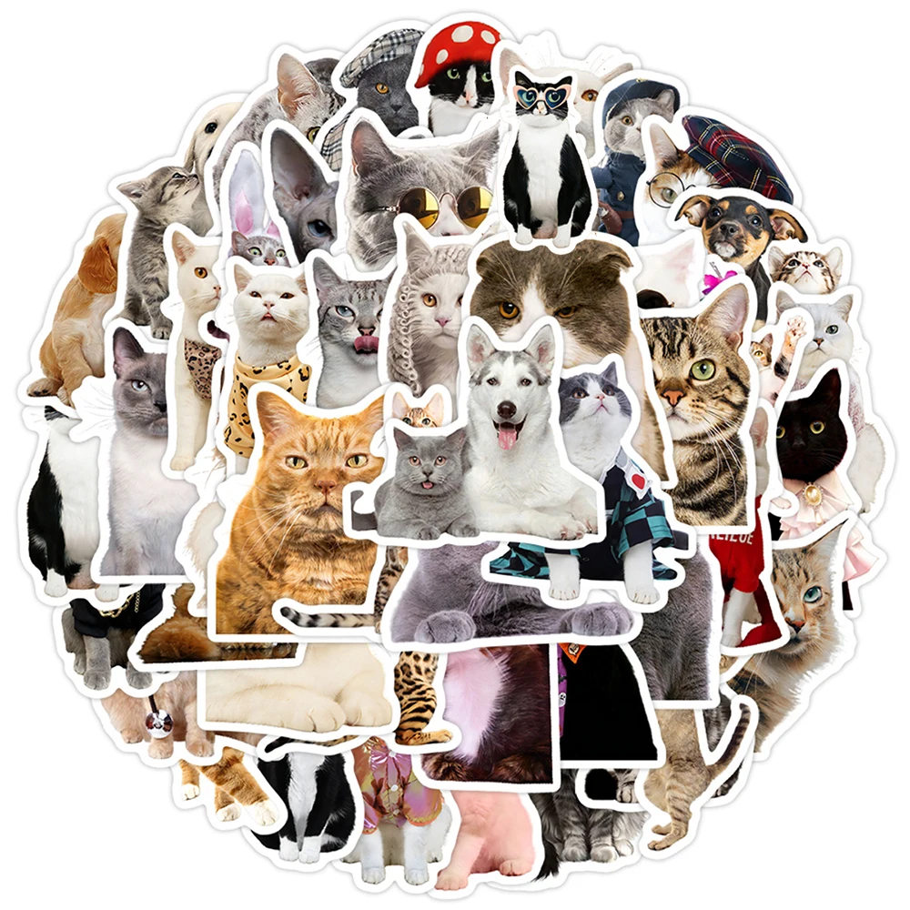 

10/30/50pcs Kawaii Graffiti Cat Meme Stickers Waterproof Kid DIY Phone Stationery Notebook Laptop Cute Animal Kitten Decals Toy