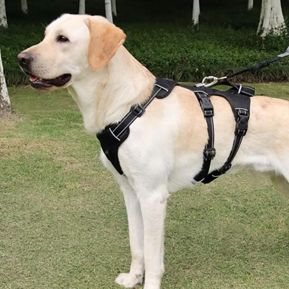 1set Dog Collar Pet Chest Shoulder Strap Buckle Reflective Used For Golden Retriever Dog Labrador Robin Sheepdog Ect Large Dog