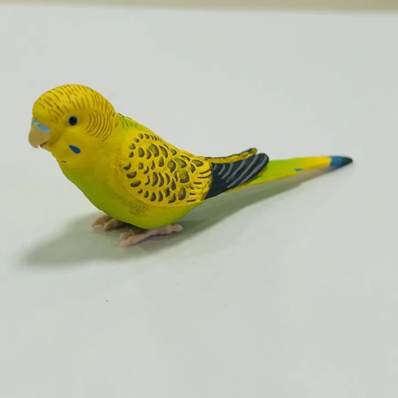 SHINE-G Japan Gashapon Figure Cute Kawaii Parakeet Parrot Figurine Anime Gachapon Capsule Toys Creativity Gift Desktop Decor