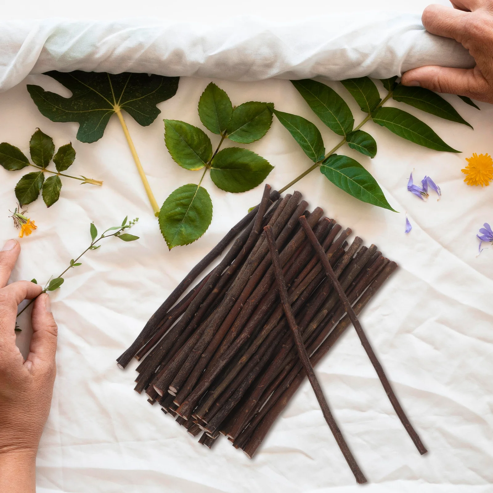 

50Pcs Natural Wood Sticks Twigs Material for DIY Crafts Photo Props Handicraft Garden Decoration Wood Craft Accessories