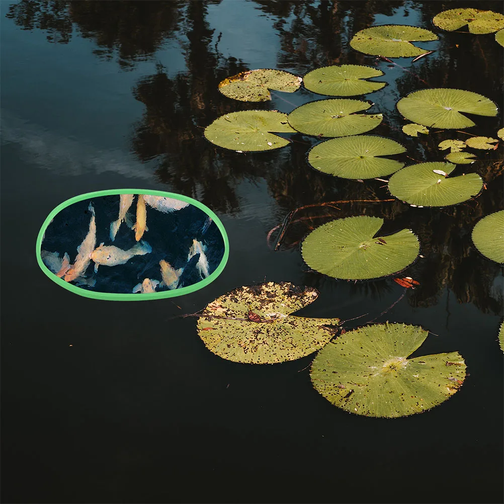 

10pcs Floating Plant Rings Fish Tank Feeding Circles Aquarium Plants Holder Durable Plastic Fish Feeder Reusable Tank Isolation