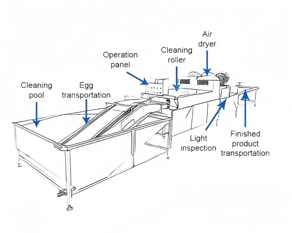 Afbeelding 7: Commerciële eierschaalborstelmachine, eiermodderwasser, eierwasmachine, reinigingsmachine te koop