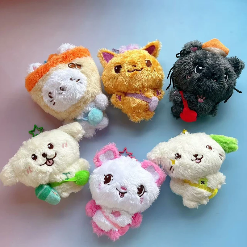 Kpop Nct Wish Sakuya RIKU YUSHI Tea Cat Doll Plush Dog Keychain