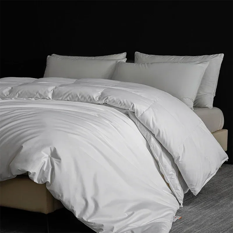 2025 Premium Goose Down & Silk Bedding Set, Full Size. A harmonious union for all-season, top-notch comfort.