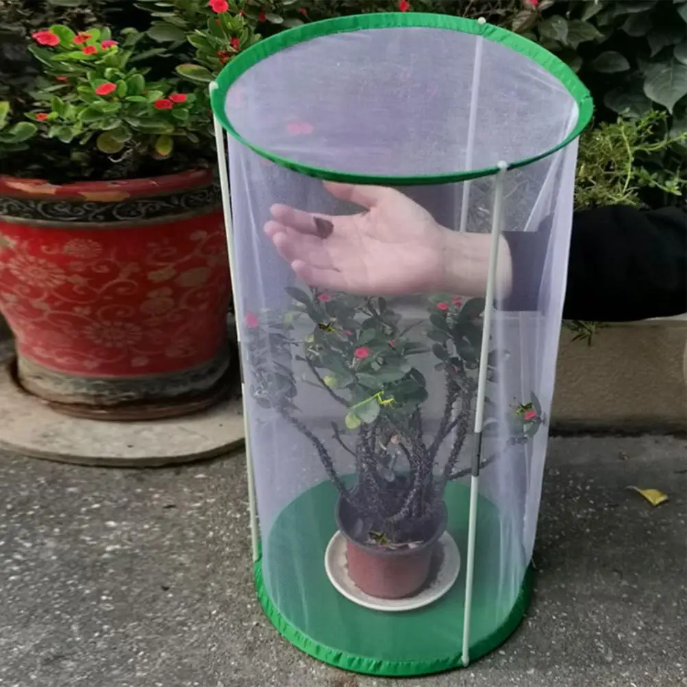 Butterfly Habitat Mini Greenhouse Insect Observation Cage Garden Plant Cover Reusable Cylinder Shape Cage with Visible Mesh