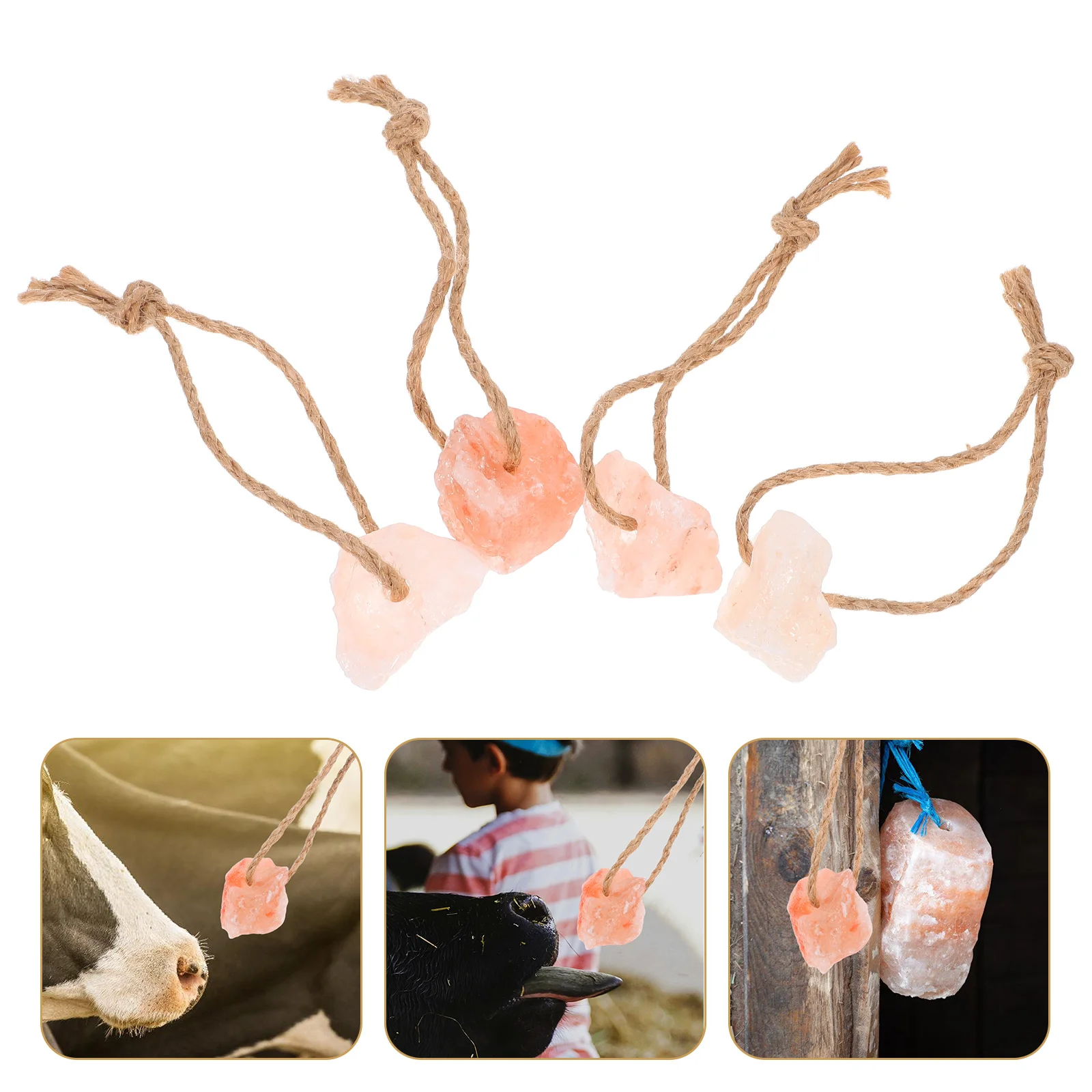 

4 Pcs Licking Horse Treats Bulk Liquid Block Boredom Toys Mineral Rock for Healthy Holder