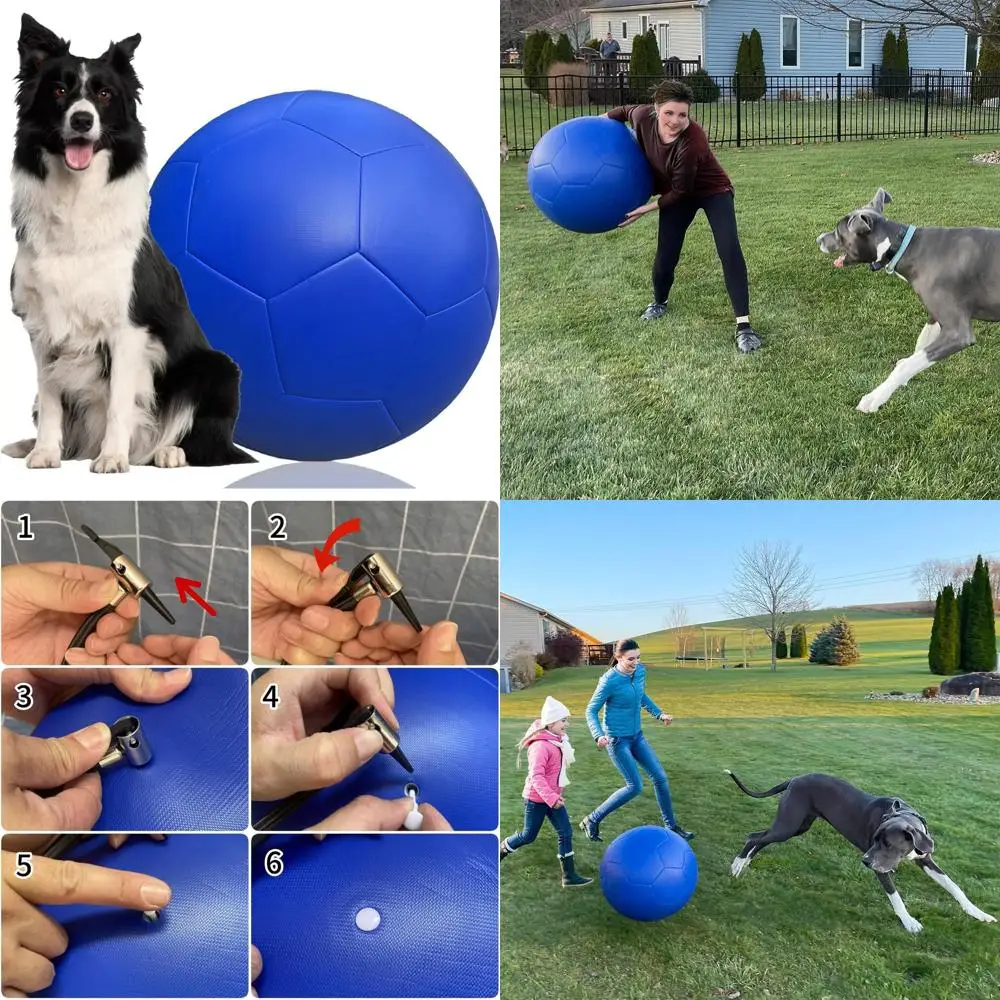 

PULeather Herding Dog Exercise Ball, Reinforced Rubber Bladder, Training Guide for Border Collies, Aussies, Australian Shepherd