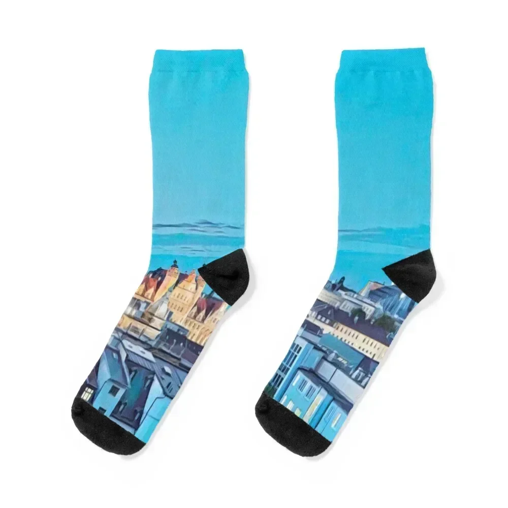 

Leipzig Socks Novelties cotton retro Socks Man Women's