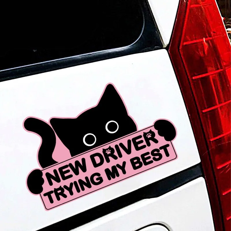 Magnetischer Reflektierender Aufkleber für Fahrschüler, Studenten-Fahrer-Stoßstangenaufkleber, Englischer Katzen-Aufkleber – Detail 5