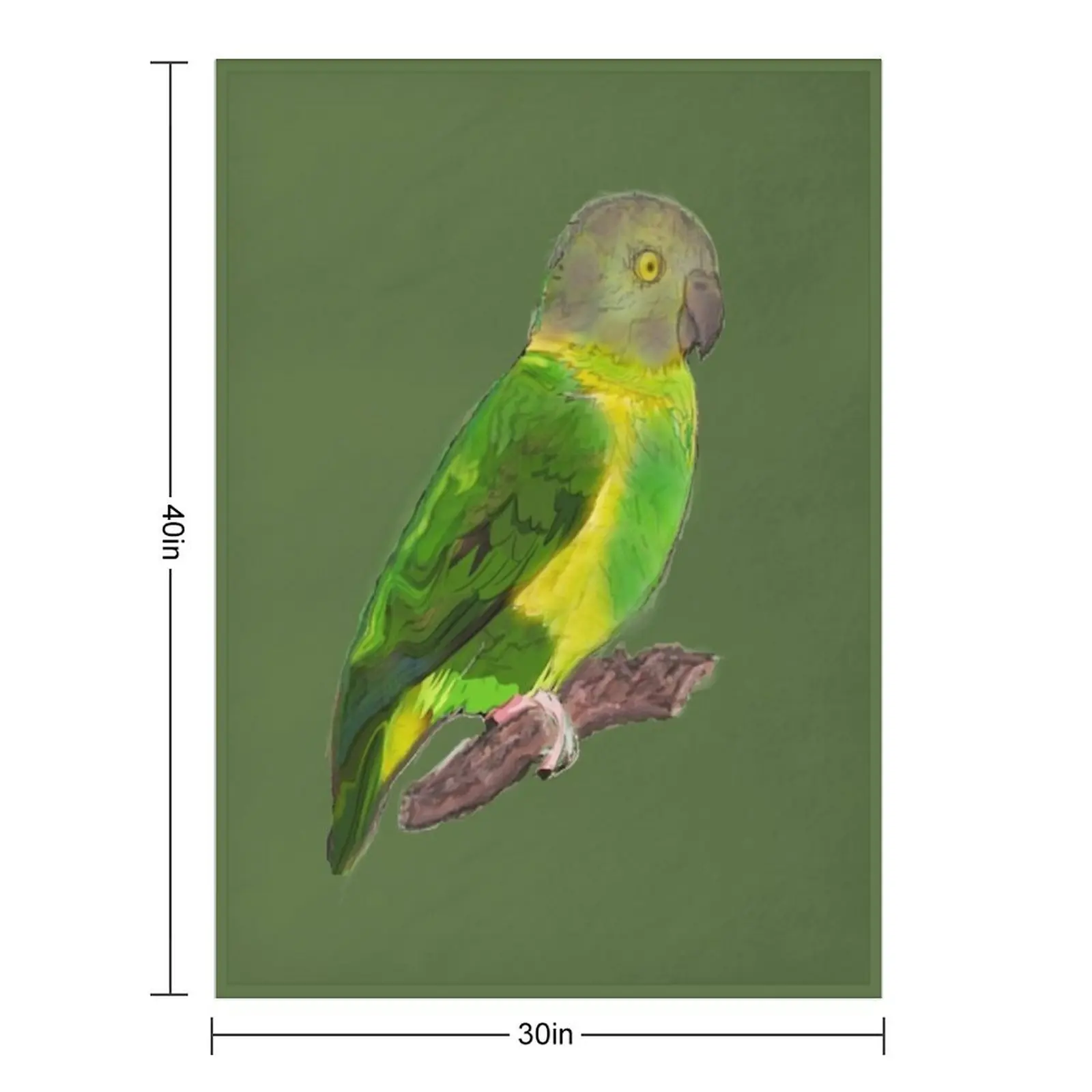 Senegal Parrot On Branch. Simple Watercolour Throw Blanket cosplay anime bed plaid Blankets For Bed manga Blankets