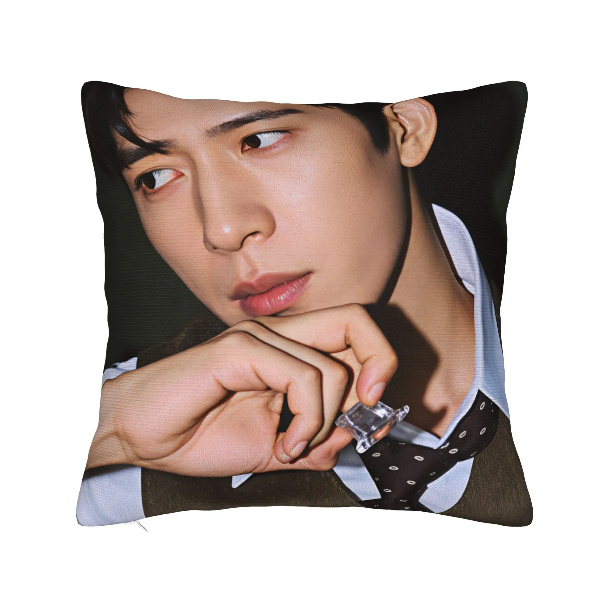 The Early Spring jing boran  Pillow Case  Print Pillow Cover Fashion Cushion Cover For Office Car Home Decor
