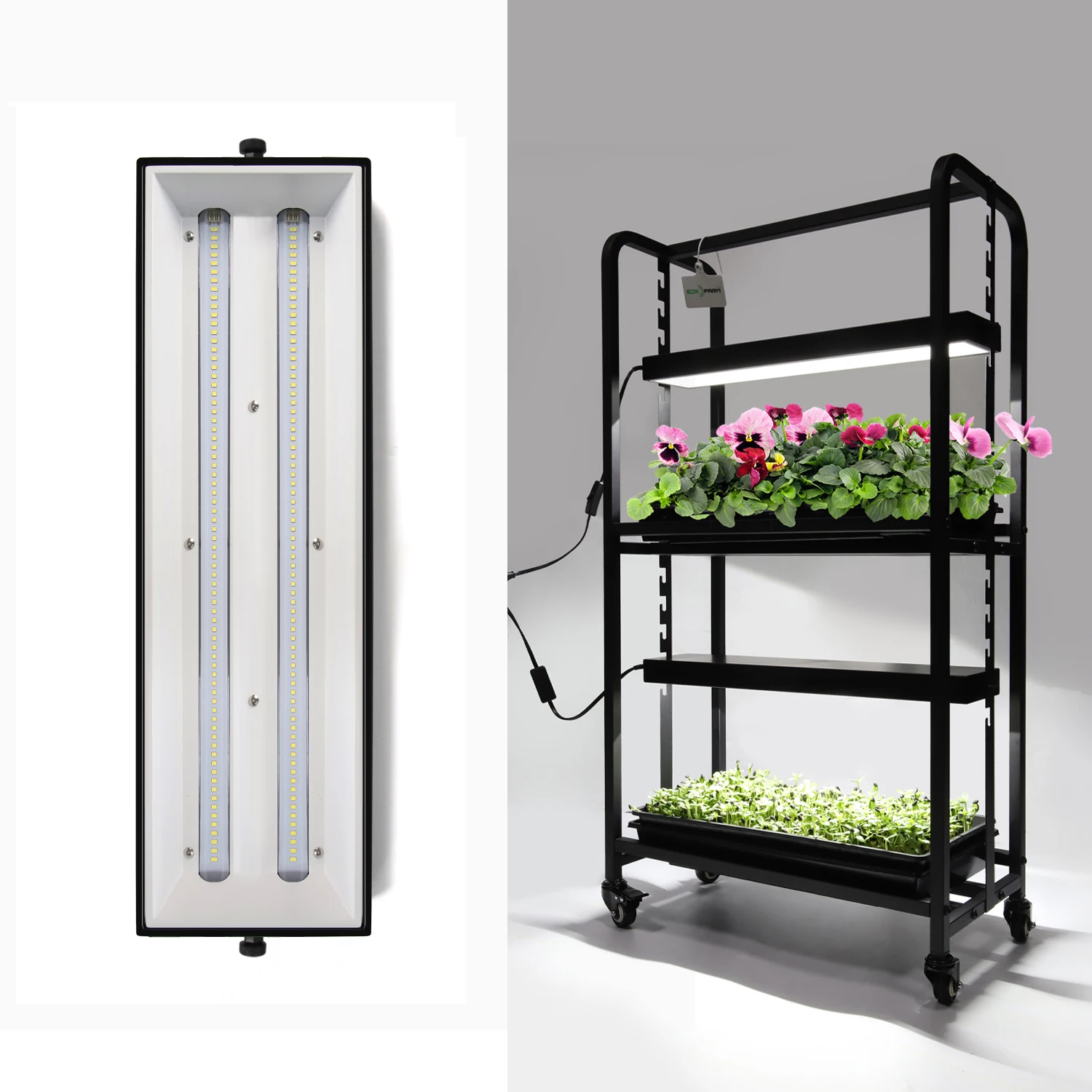 Indoor Gardening Two Tray Wheatgrass Microgreens Growing System Racks Built in Wide Spectrum Grow Lights Plant Grow Stand