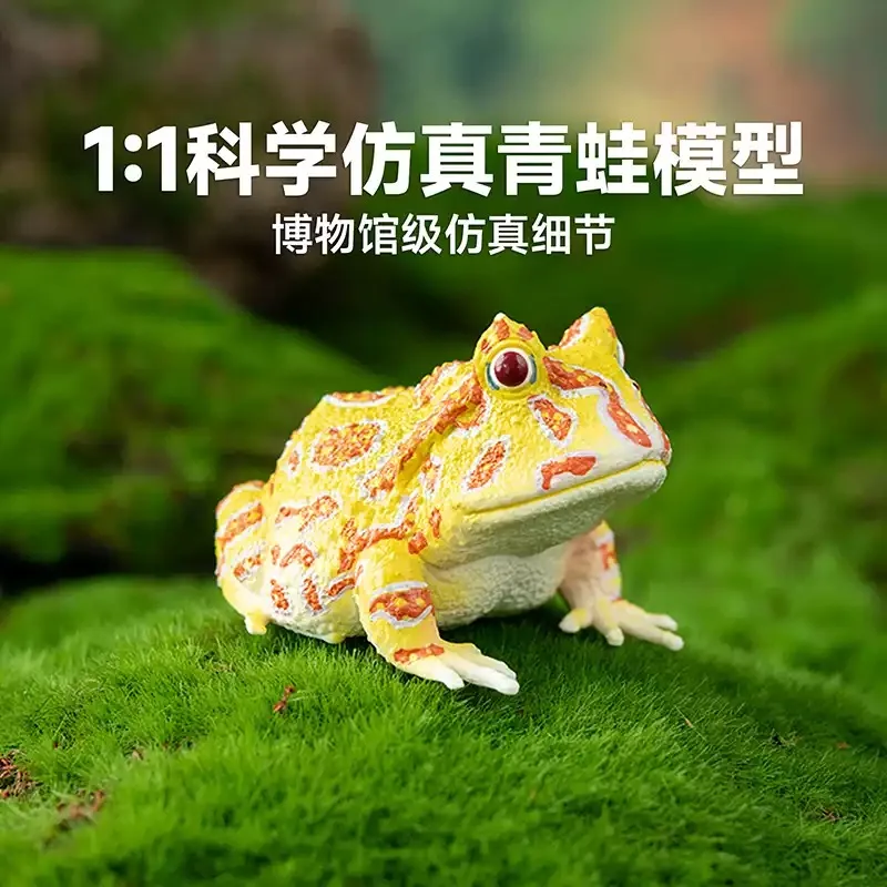 Mini Figurine, Colorful Amphibian Reptile Figure, Kids Science Cognition Toy Hobby Collection Diorama Accessory
