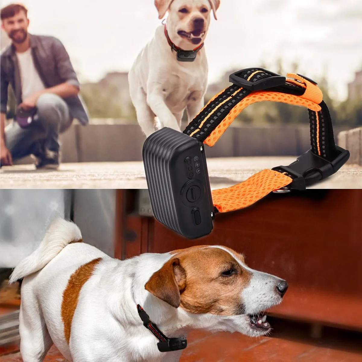 

Dog Bark Collar with Remote 2000ft Range Automatic Anti Bark Collar for Small Medium Large Dog, Rechargeable Dog Training Collar