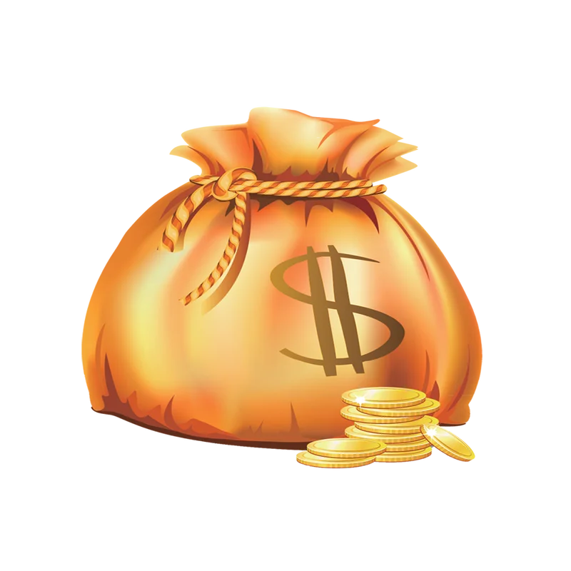 Custom Extra Design Fee Payment Link 2.1.1