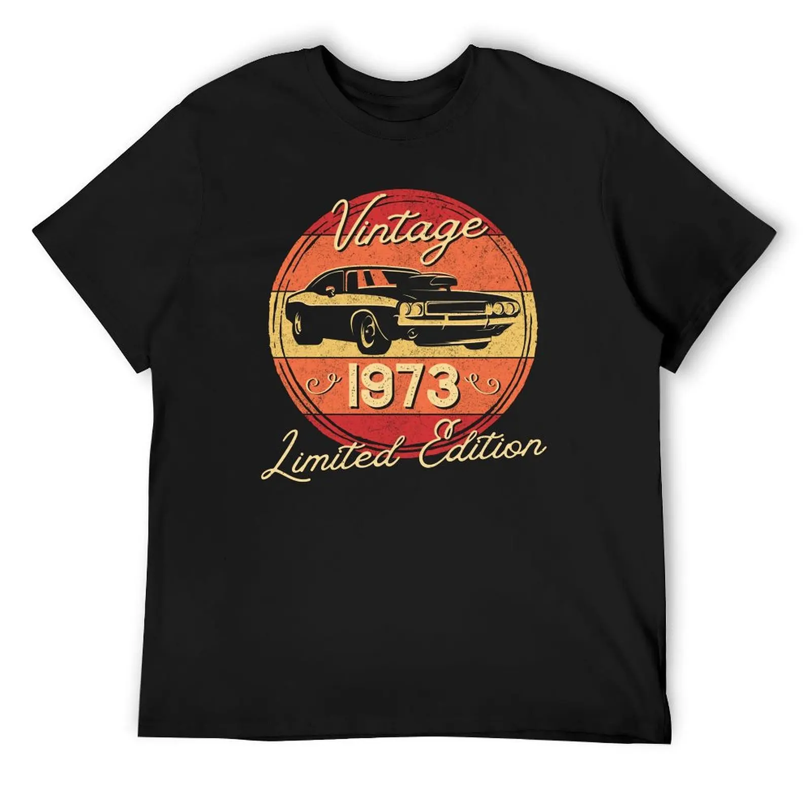 

1973 Vintage, Limited Edition T-Shirt custom t shirt vintage clothes t shirts for men pack