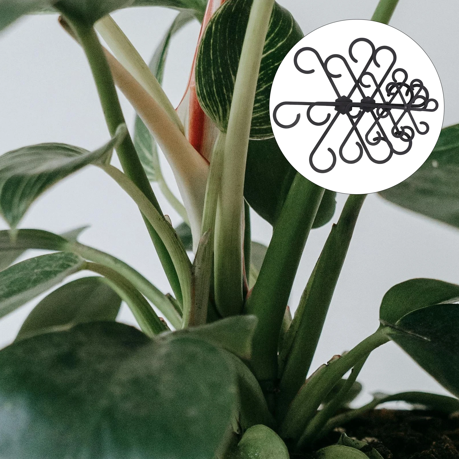 

8pcs Adjustable Plant Stem Support Stakes Reusable Vine Holder Rack Bonsai Flower Cage For Indoor Plants Plastic Material