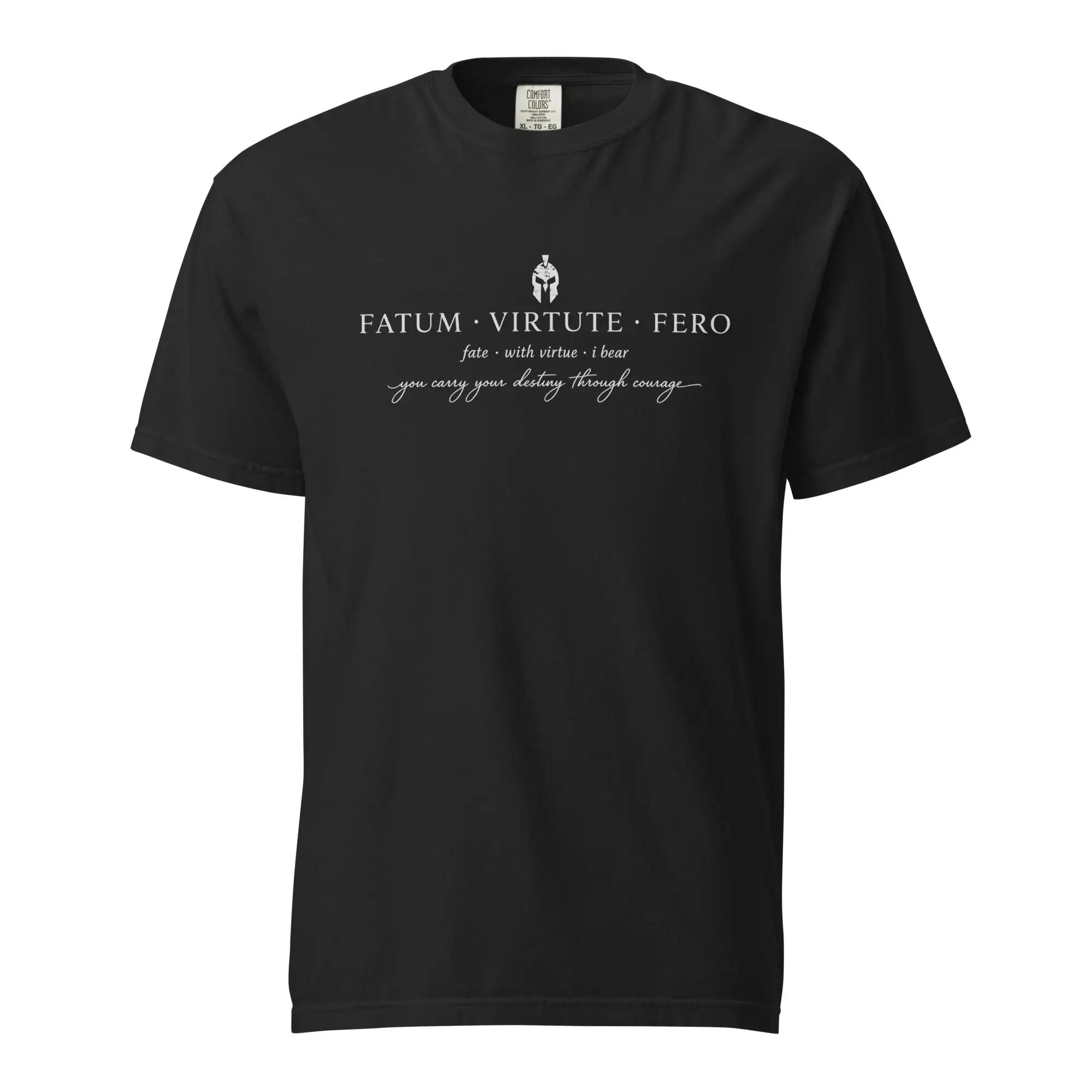 Fatum Virtute Fero Latin Stoic T-Shirt, Roman Virtue Apparel, Minimalist Quote Tee  Simple and Stylish, Comfortable and Trendy view 3