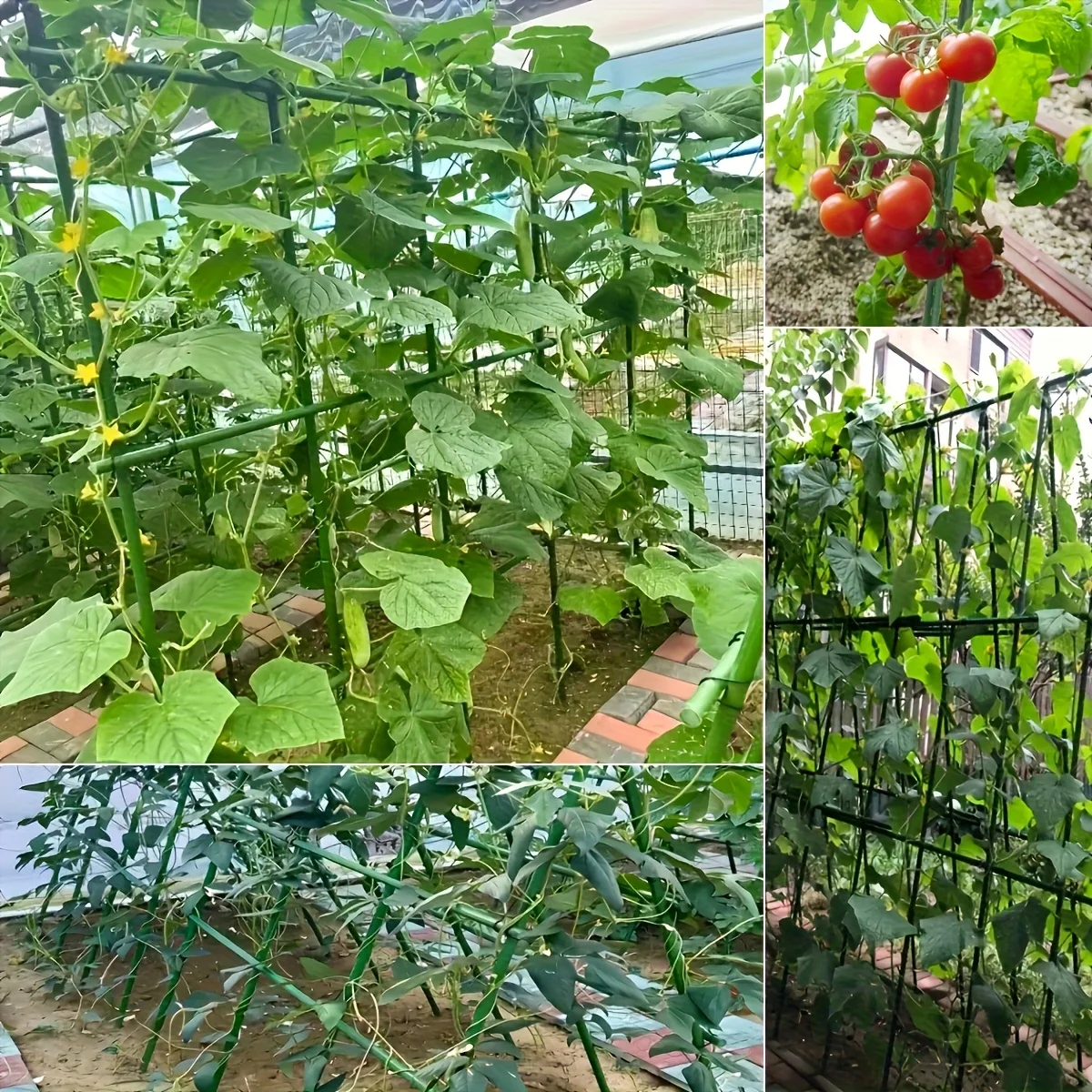 

22 support rods+11 connector garden plant set, plastic coated metal support rods for tomato, cucumber, and grape plants