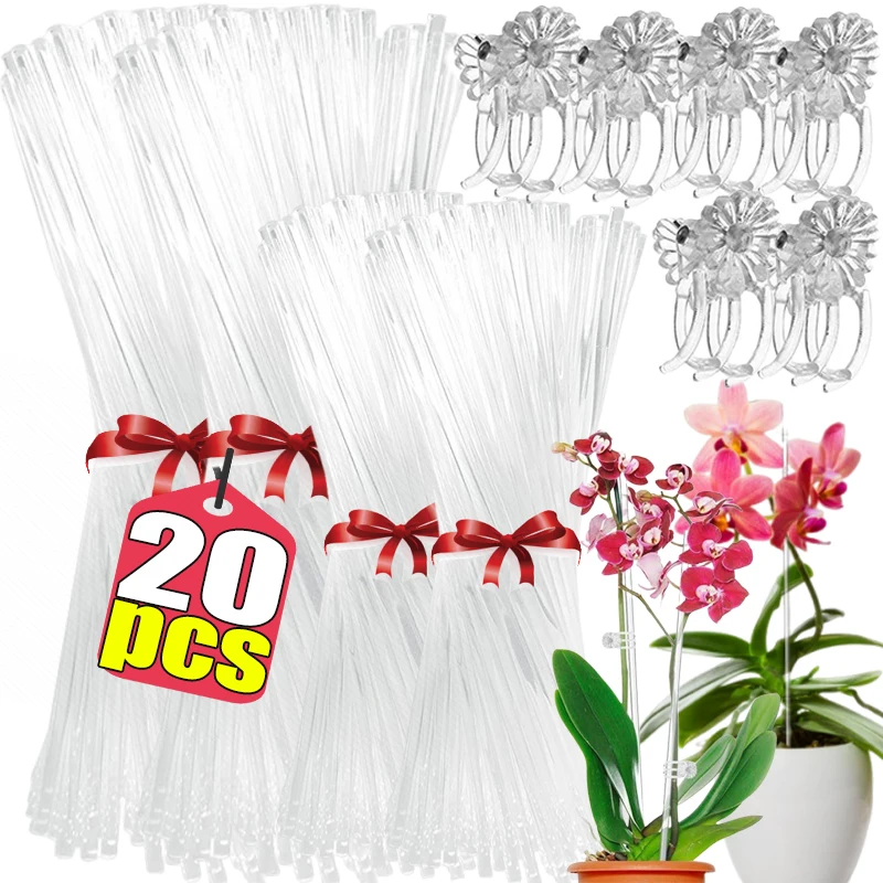 3-20 Stück Blumenstützstäbe aus Acryl, Garten-Pflanzenstäbe, Einzelstiel-Orchideen-Fixierstäbe, für Topfpflanzen, Gemüse, Tomaten, Dessertkakies, Dekoration
