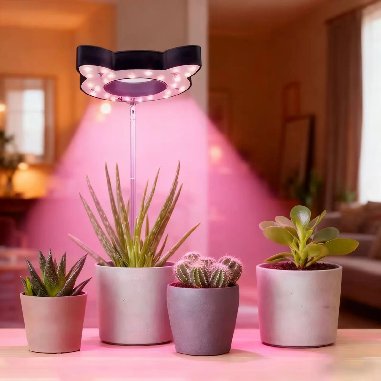 

Kitten LED full spectrum growth light, indoor small plant light pot plant light USB timing brightness adjustment of green plant