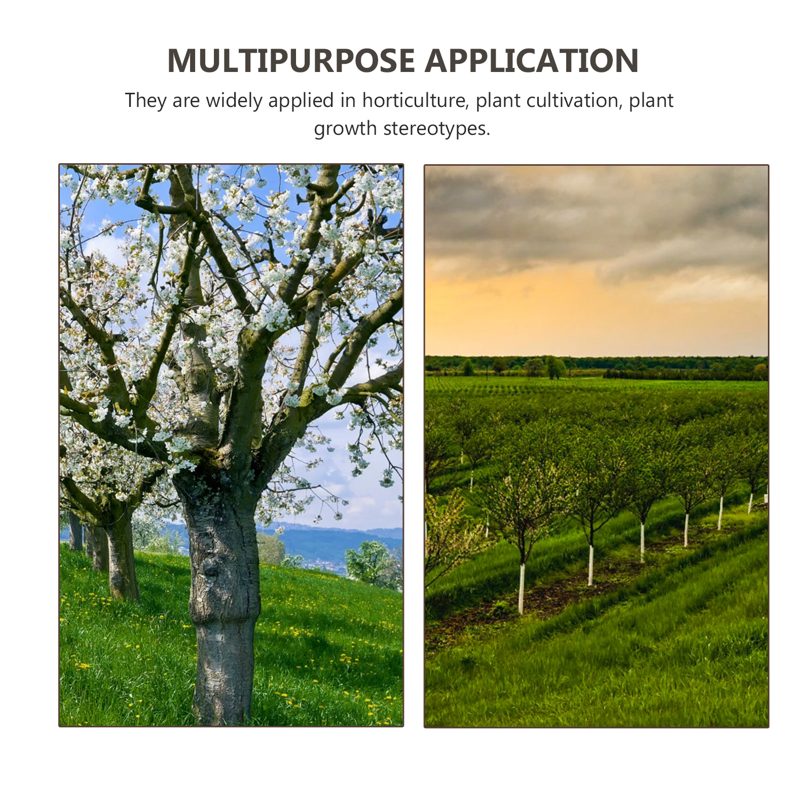 

20pcs Plant Bender Clips Bonsai Plants Supports Training Garden Planting Heavy Duty Reusable Adjustable Degrees Plastic DIY