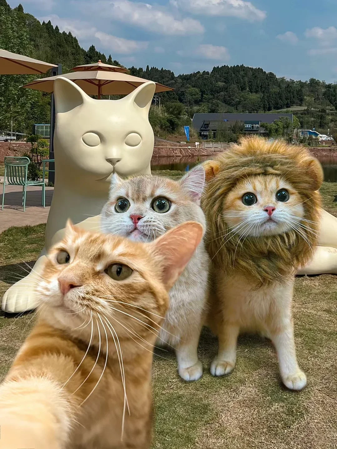 Cat Lion Wig Funny Costume Puppy Halloween Cosplay Dress Up Clothes Cute Pet Hat For Small Dog Kitten Party Accessories