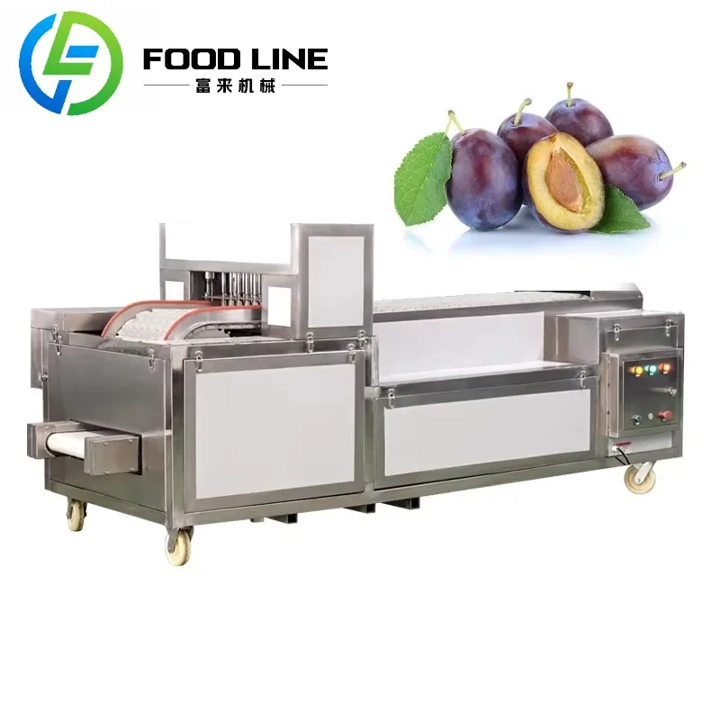 

Commercial Prune Core Removing Separating Machine Apricot Amla Seed Destone Pitting Machine Core Pitting Machine Dates Olive
