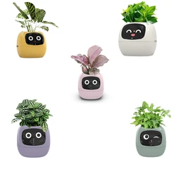 アイビースマート屋内プランター、屋内装飾用の小さな植木鉢、植物の作成、簡単で楽しみ、USB充電式