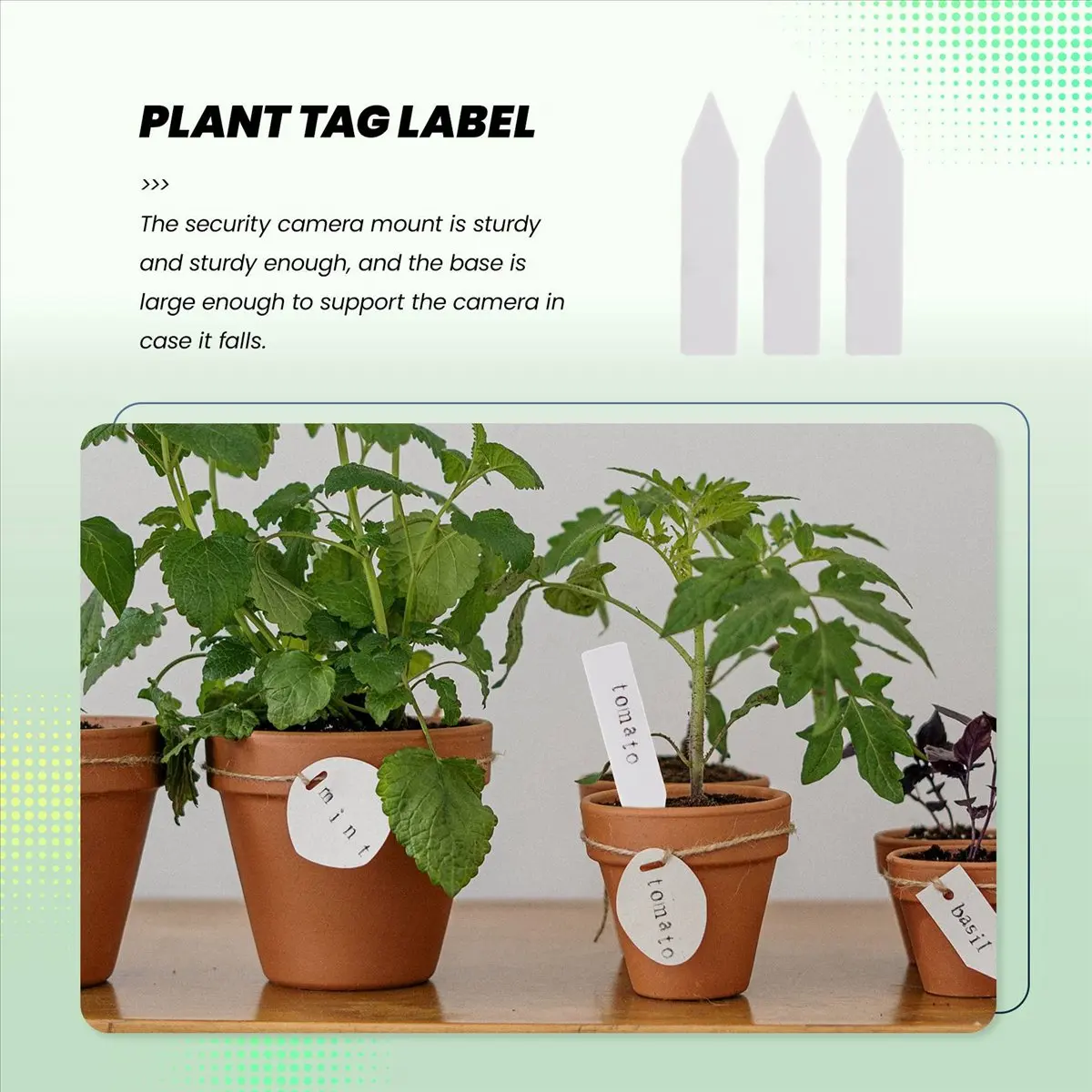 ABNQ 100 Pcs Reusable Pvc Plant Tag Label Tree Fruit Seedling Garden Flowerpot Plastic Label Sign Sorting Tool