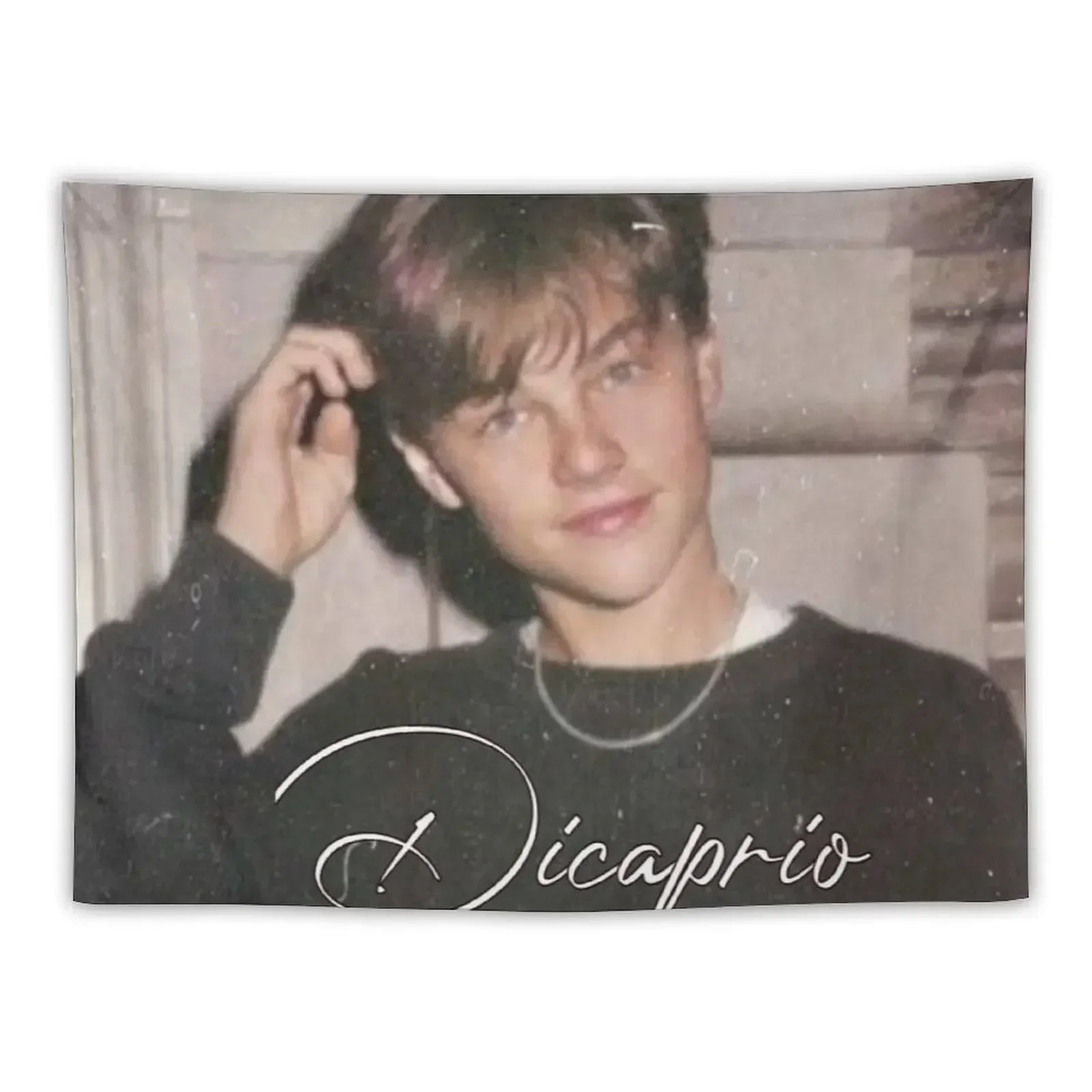 Leonardo Dicaprio Design Tapestry Decoration Aesthetic Funny Tapestry