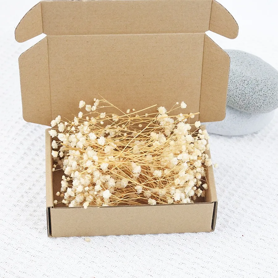 50 قطعة زهور تنفس الطفل المجففة الصغيرة ل الراتنج الحرفية Diy بها بنفسك ديكور المنزل الزفاف اللمس الحقيقي جيبسوفيلا حزمة صغيرة تجميل هدية