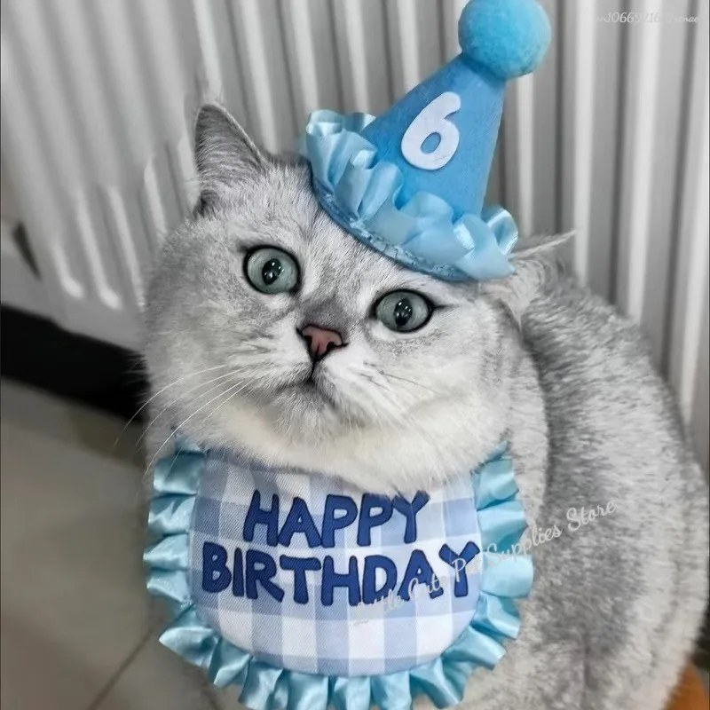 Cat Birthday Scarf Hat Set Dog Birthday Party Supplies Pet Scarf Cute Puppy Birthday Hat Scarf Decor For Small Medium Pets