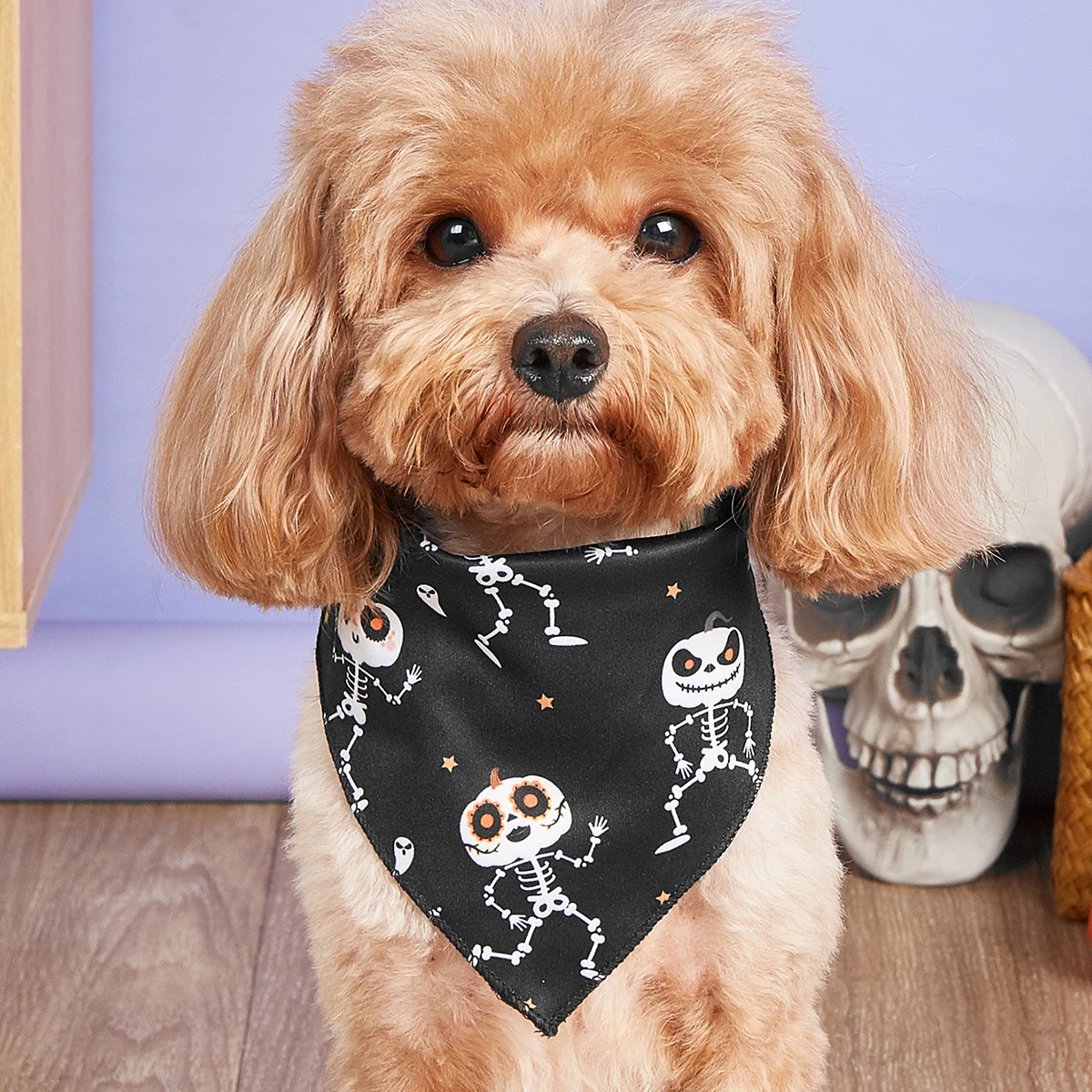 Thumbnail 3 - #39 Best Dog Bandanas to Buy In 2026