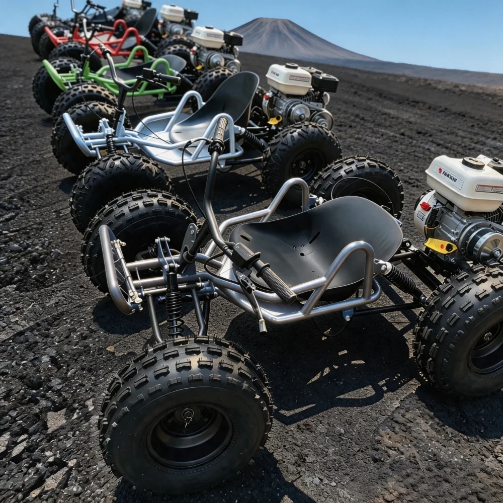 Adult Steel Frame Off-Road Go Kart 212cc 4 Stroke Engine Heavy Load Sandy Grass Drift Kart
