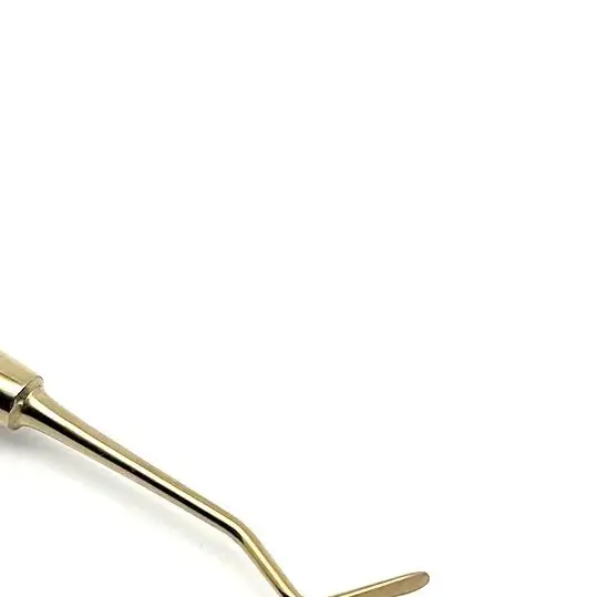 

Dental Composite Resin Filling Spatulas, Double-Head Stainless Steel, Precision Tools for Dentists, Dental Accessories