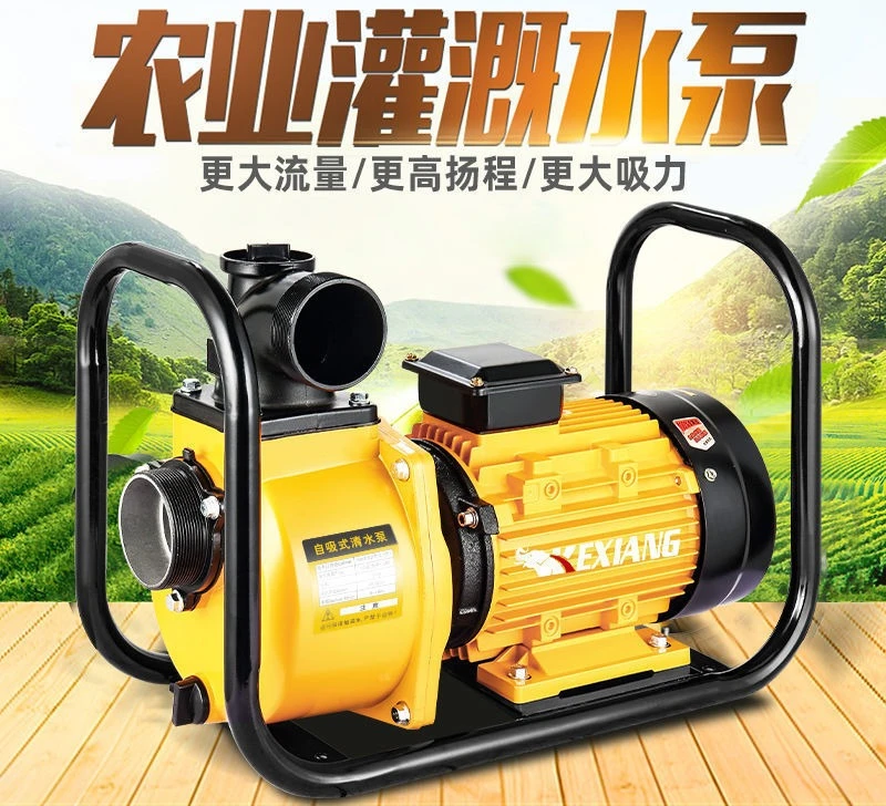 20251.5HP 2HP 3HP مضخة مياه سطحية تعمل بالطاقة الشمسية لري المزرعة