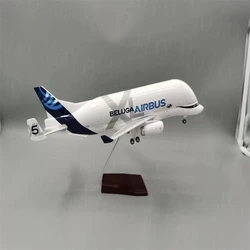 1:150 Scale 42cm Airbus Beluga A300-600 Resin Aircraft Model Super Beluga Transport Model Aviation Collectibles Home Decorations