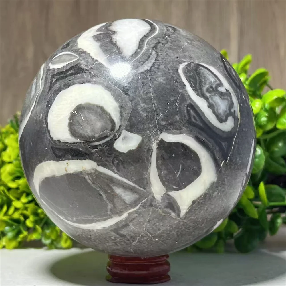 Crystal Natural Shell Stone Quartz Sphere Ball Reiki Mineral Spiritual Meditation Specimen Healing Home Decoration+Stand