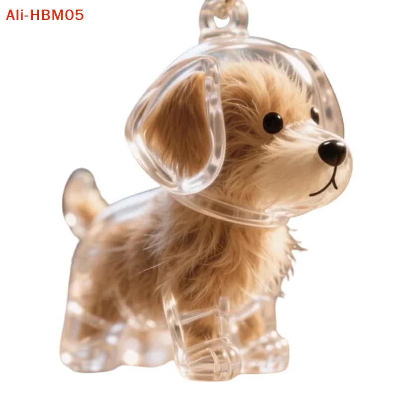 (HB05)Clear Puppy Hair Memorial Keepsake Capsule Pet Dog Fur Container DIY Pendant Keychain Decor Pet Lovers Home Display Gifts view 5