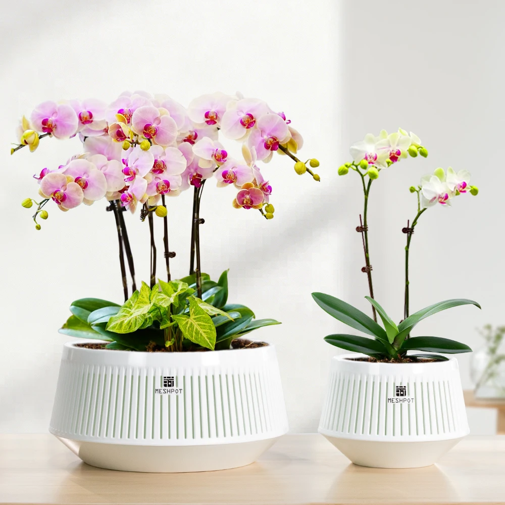 Meshpot Orchid Pot with Holes 5inch Orchid Planter with Drainage Holes and Tray Promoting Air Circulation and Drainage